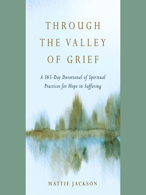 cover image of Through the Valley of Grief